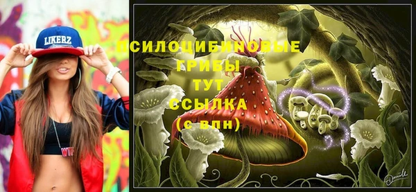 дживик Верея