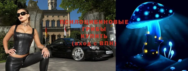 дживик Верея
