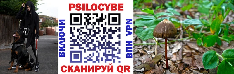 Купить  Геленджик  Псилоцибиновые грибы Psilocybine cubensis 